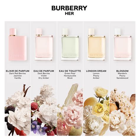 what does burberry sport smell like|Burberry her elixir noted.